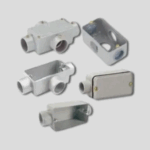 Conduletes
